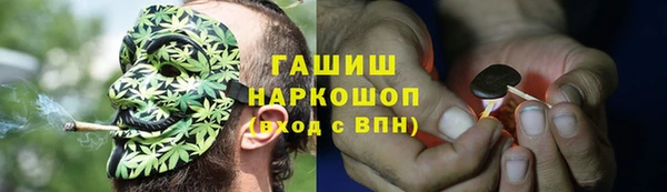 хмурый Алексин