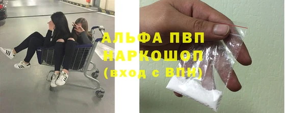 хмурый Алексин