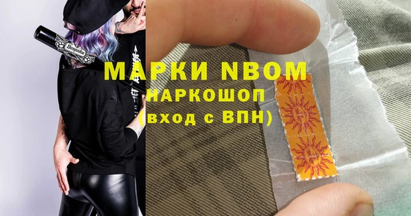 хмурый Алексин