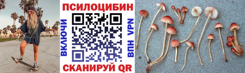 наркота  Ярославль  Псилоцибиновые грибы мухоморы 